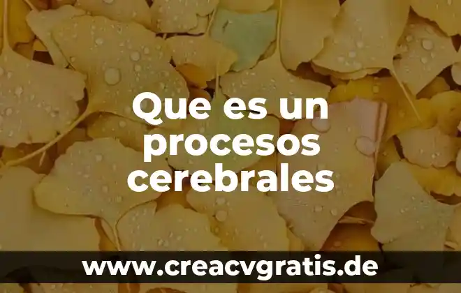 Que es la ingenieria en procesos quimicos 3 Que es un procesos cerebrales