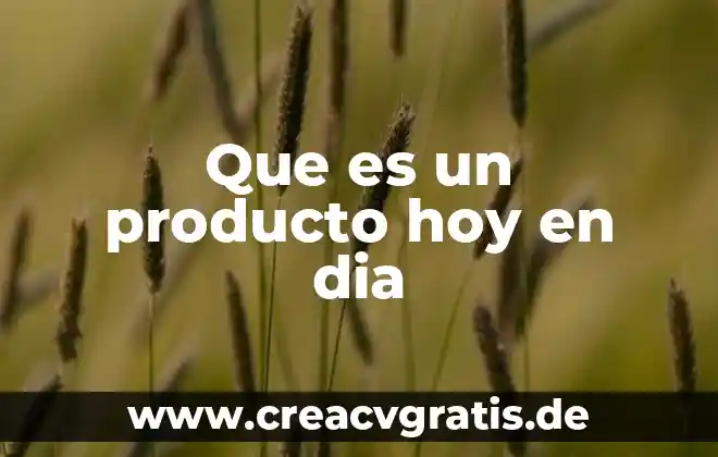 Que es ser santo hoy 3 Que es un producto hoy en dia