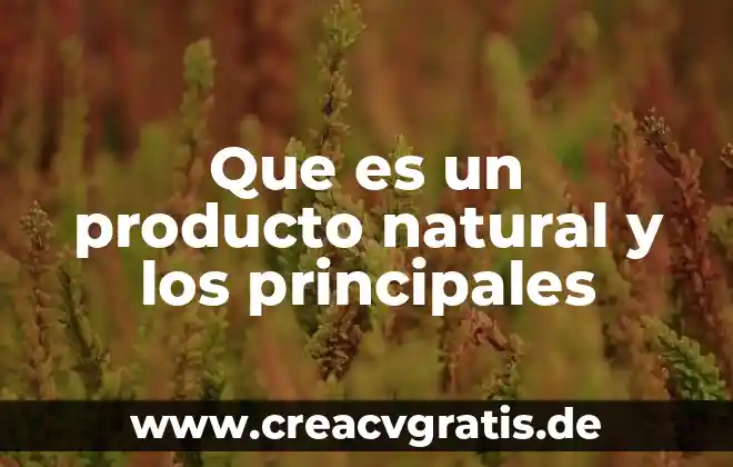 Qué es el sol y sus características principales 8 Que es un producto natural y los principales