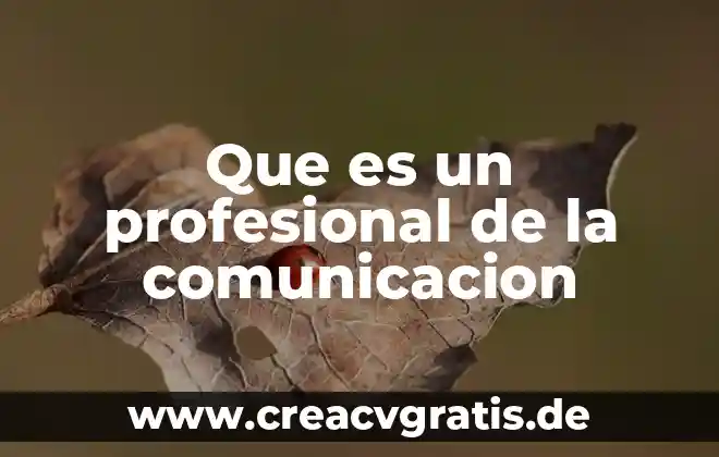 Qué es la comunicación fática 6 Que es un profesional de la comunicacion
