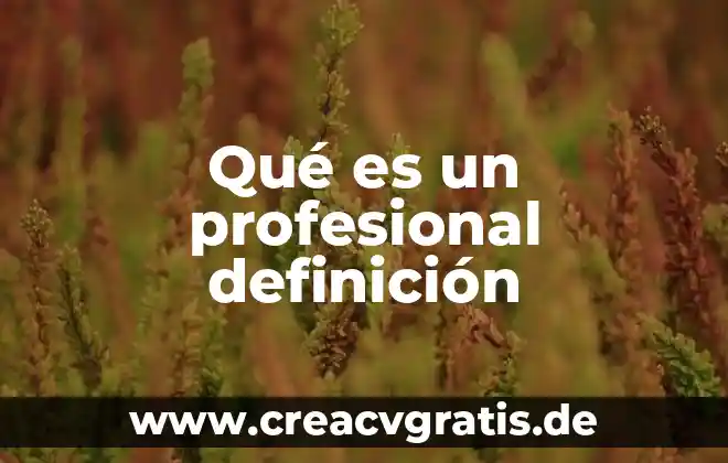 Nombre del juego que es como una granja 3 Qué es un profesional definición