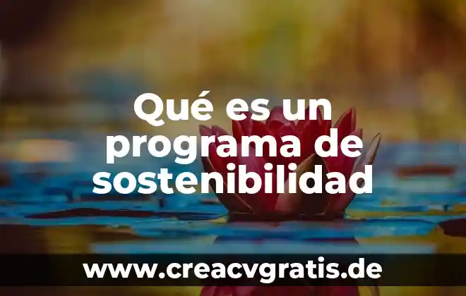 Que es el software autorizado 4 Qué es un programa de sostenibilidad