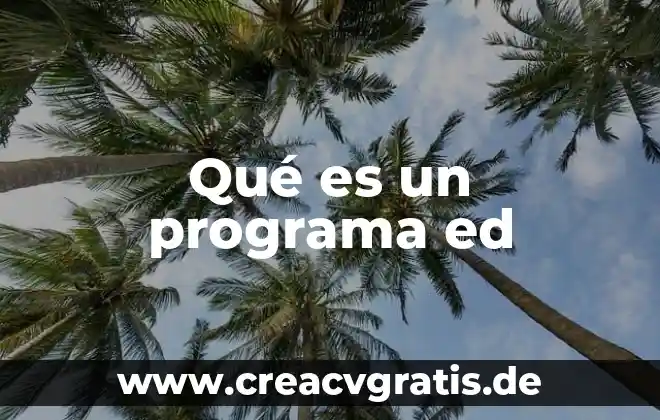 Qué es un símbolo en el programa Flash 8 Qué es un programa ed