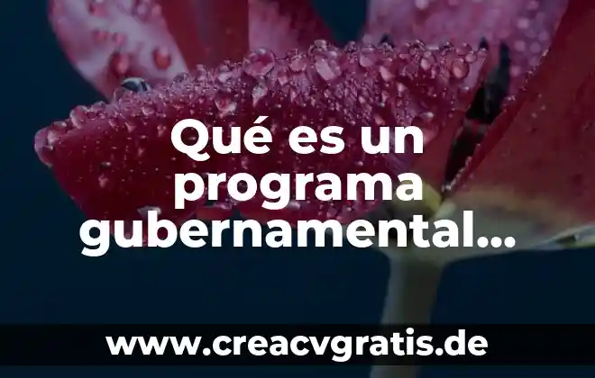 Que es una funcion gubernamental 3 Qué es un programa gubernamental significa