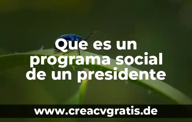 Que es la gestion social y los tipos 4 Que es un programa social de un presidente