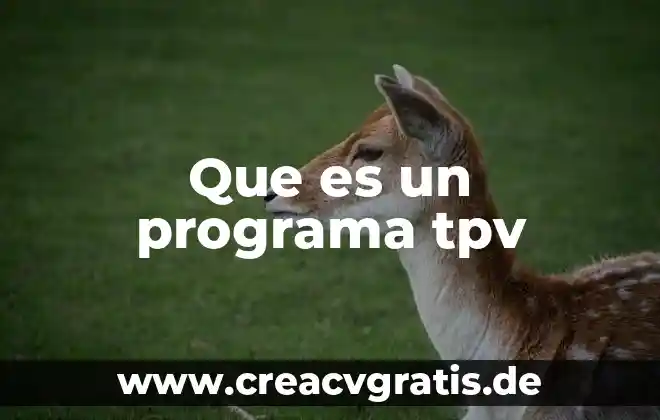 Que es un programa y tipos de programas 6 Que es un programa tpv