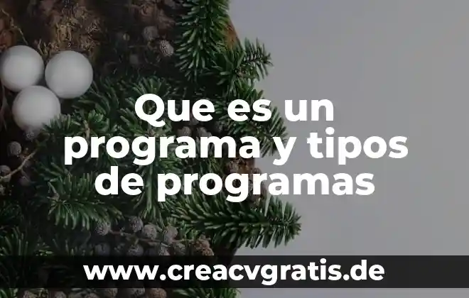 Que es un programa tpv 5 Que es un programa y tipos de programas