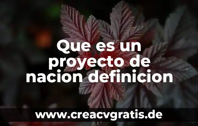 Qué es subestimar definición 6 Que es un proyecto de nacion definicion