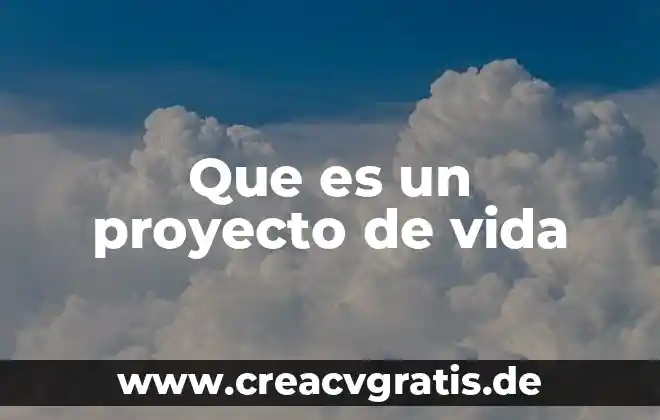 Qué es la visión para un proyecto de vida 4 Que es un proyecto de vida