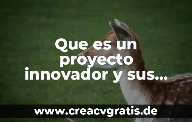 Que es innovador de data tech 4 Que es un proyecto innovador y sus caracteristicas