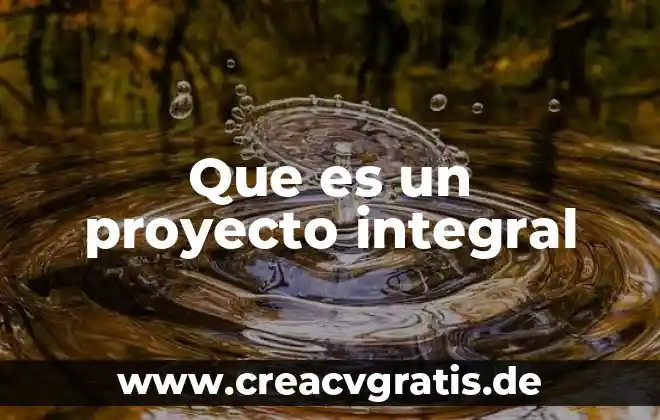 Qué es detox significado 5 Que es un proyecto integral