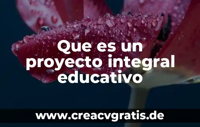 Programa educativo definición que es caracteristicas 3 Que es un proyecto integral educativo