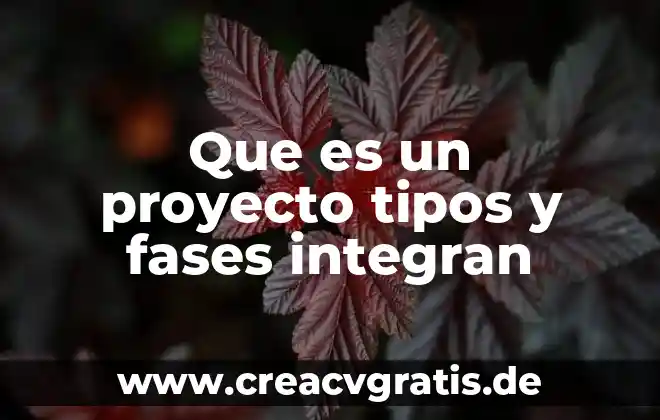 Qué es un sistema disperso y cuántas fases tiene 3 Que es un proyecto tipos y fases integran