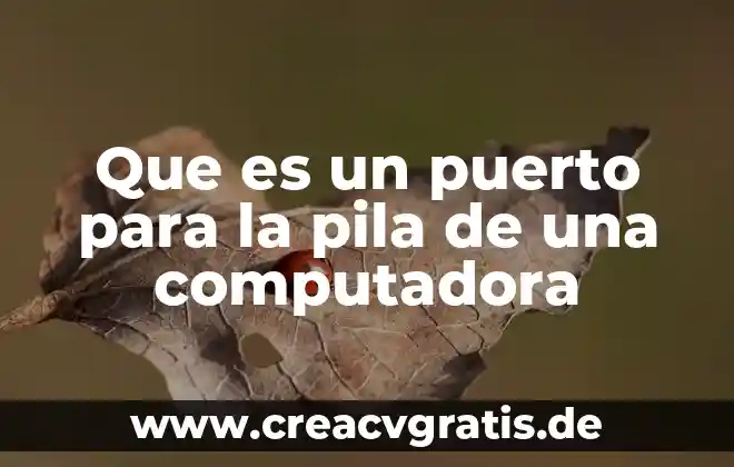 Que es el desarrollo de la computadora 8 Que es un puerto para la pila de una computadora