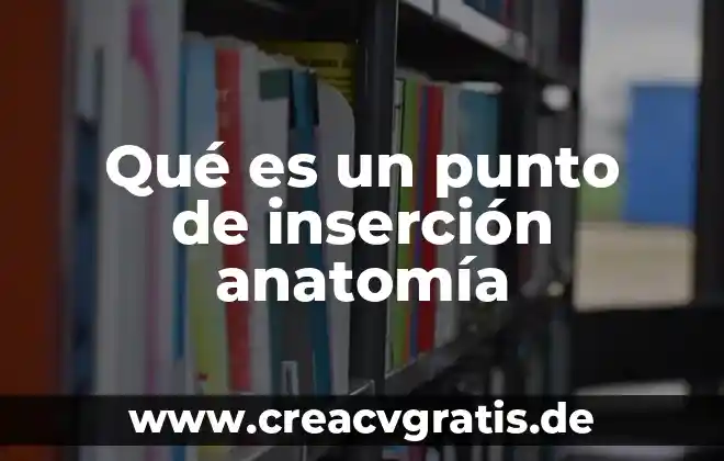 Qué es la anatomía comparada definición 8 Qué es un punto de inserción anatomía