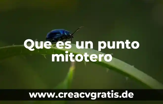 Que es la muerte punto religioso 5 Que es un punto mitotero