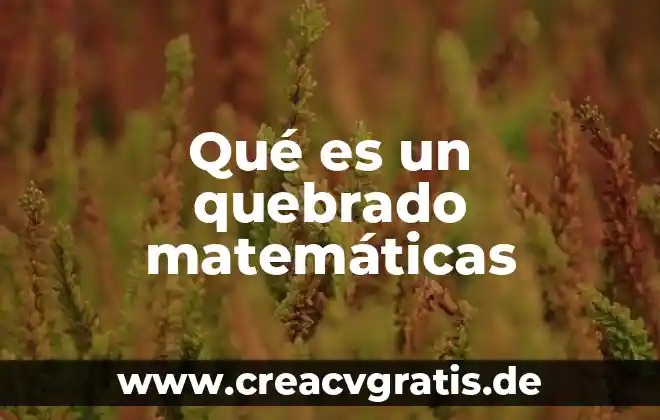 Que es valor presente neto en matemáticas financieras 3 Qué es un quebrado matemáticas