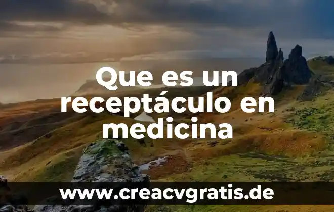 Api medicina que es 3 Que es un receptáculo en medicina