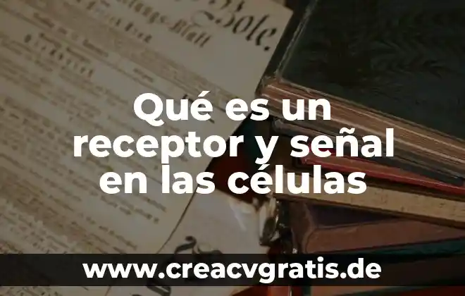 Filtrado de células que es 5 Qué es un receptor y señal en las células