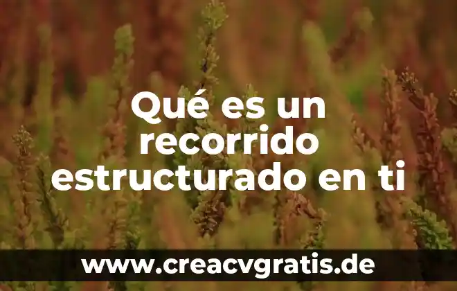 Que es pensamiento estructurado 7 Qu茅 es un recorrido estructurado en ti