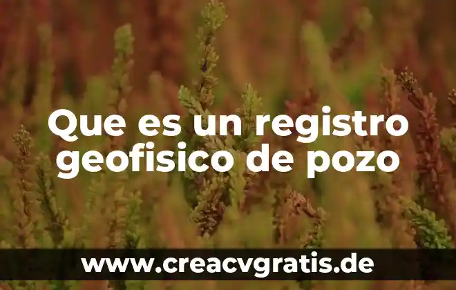 Consulta que es una bodega y para que sirve 5 Que es un registro geofisico de pozo