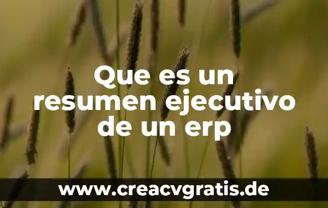 Que es un ejecutivo de cobranza informativa 5 Que es un resumen ejecutivo de un erp