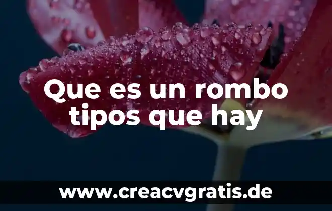 Que es violencia y cuantos tipos de violenci hay 4 Que es un rombo tipos que hay