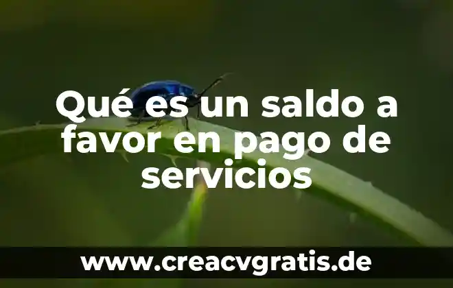 Que es saldo real en contabilidad 7 Qué es un saldo a favor en pago de servicios