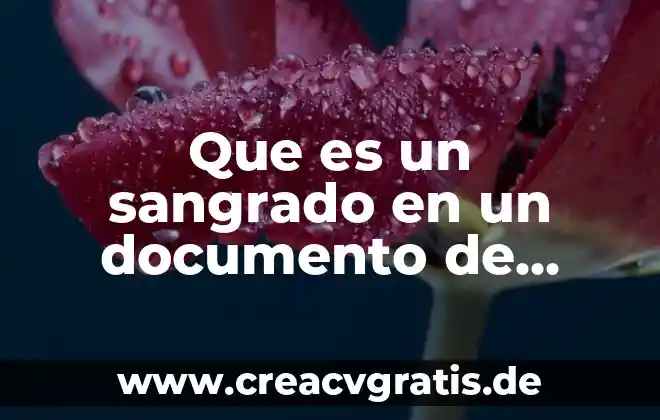 Que es el sangrado en el periodo mestrual 5 Que es un sangrado en un documento de illustrator