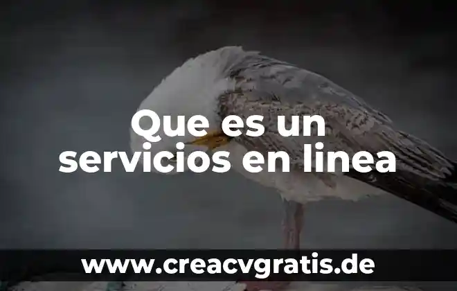Que es una administradors de servicios de salud 8 Que es un servicios en linea