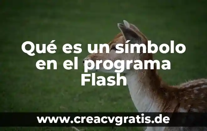 Qué es un programa ed 5 Qué es un símbolo en el programa Flash