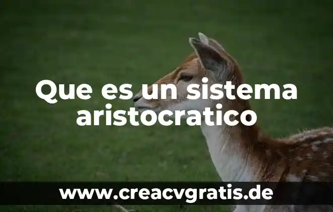 Qué es un sistema en filosofía 4 Que es un sistema aristocratico
