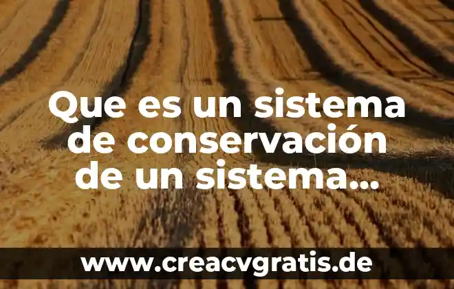 Que es la red de area local 7 Que es un sistema de conservación de un sistema local
