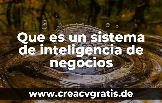 Qué es el plan de negocios de Cinepolis 8 Que es un sistema de inteligencia de negocios