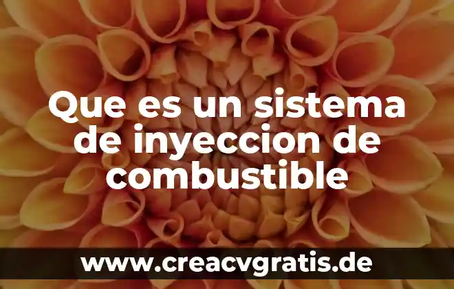 Qué es un mapa de inyección 5 Que es un sistema de inyeccion de combustible