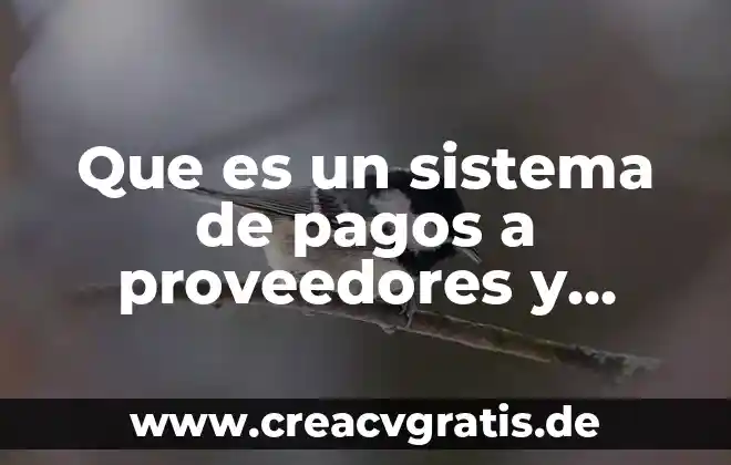 Que significa stp que es en pagos 7 Que es un sistema de pagos a proveedores y servicios