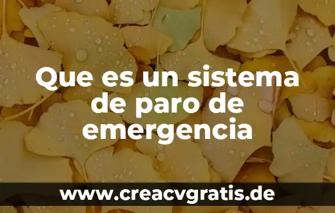 Que es el paro económico mundial de david 5 Que es un sistema de paro de emergencia