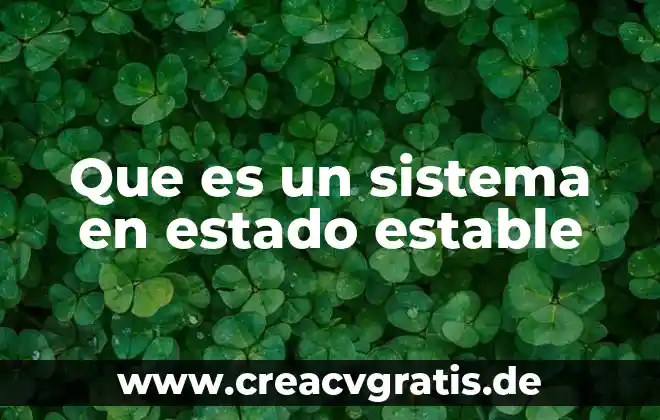Que es el estado de registro 3 Que es un sistema en estado estable