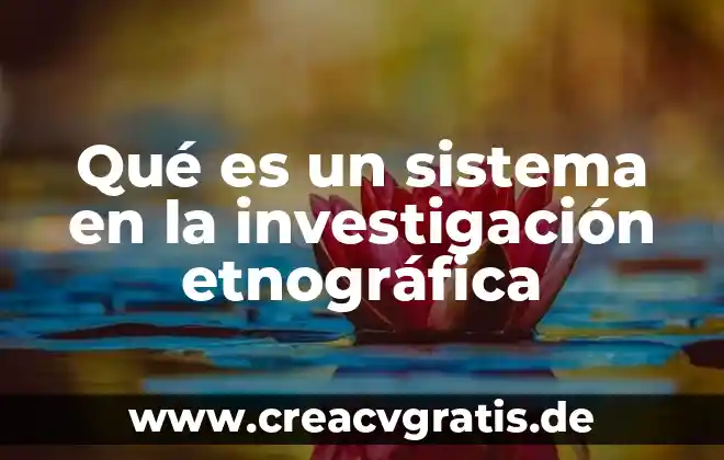 Que es sistema de flor lote piramide o telaraña 6 Qué es un sistema en la investigación etnográfica
