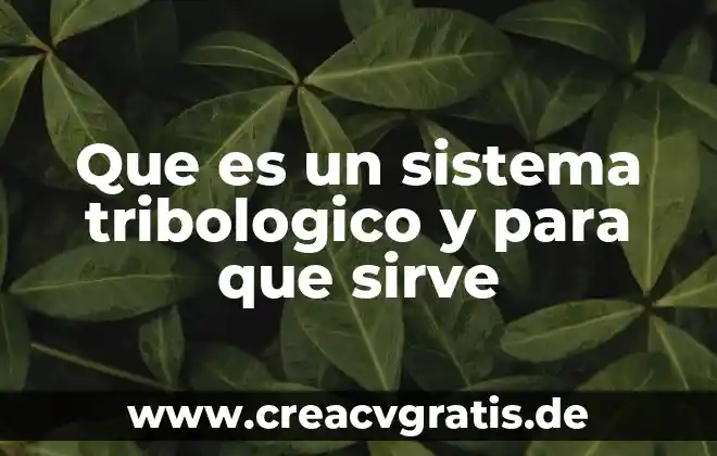 Qué es estadística para qué sirve y tipos de estadística 8 Que es un sistema tribologico y para que sirve
