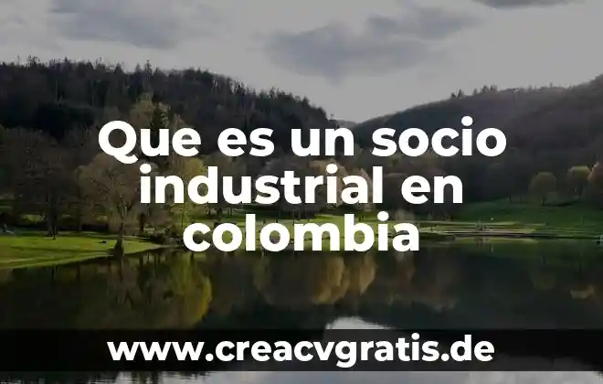 Que es ser propietario o socio 3 Que es un socio industrial en colombia