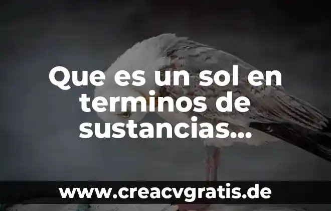 Términos informáticos que es 6 Que es un sol en terminos de sustancias dispersas