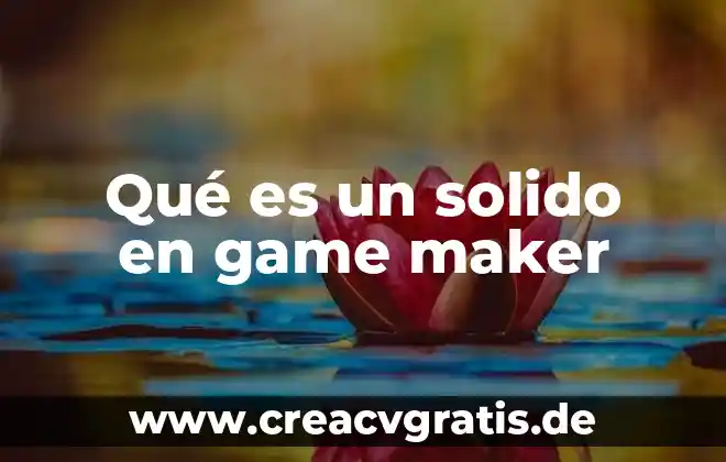Que es un archivo de proyecto dentro de movie maker 7 Qué es un solido en game maker