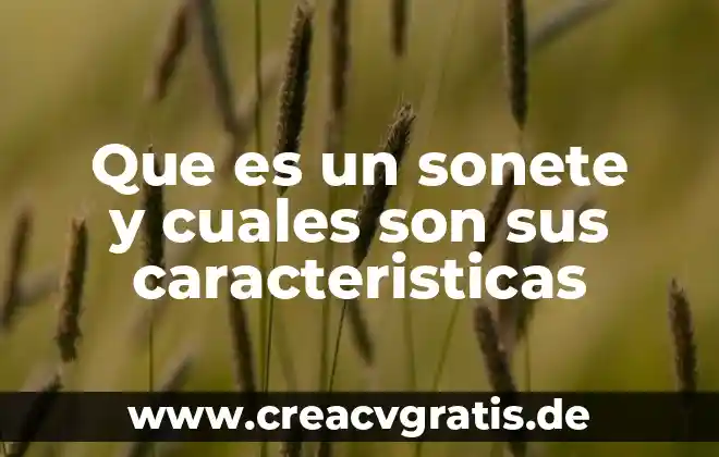 Qué es el endoso y tipos de endoso 7 Que es un sonete y cuales son sus caracteristicas