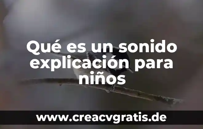 Que es el agua explicacion para preescolar 4 Qué es un sonido explicación para niños