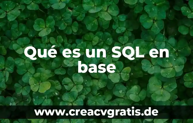 Que es defisis de base 8 Qué es un SQL en base
