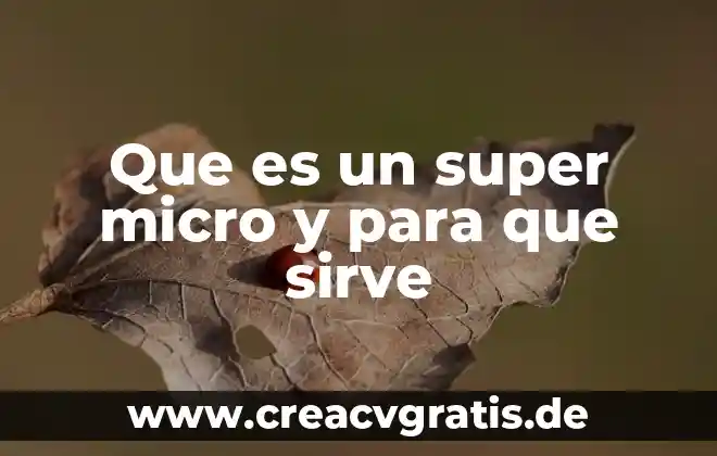 Qué es el concepto canon 3 Que es un super micro y para que sirve