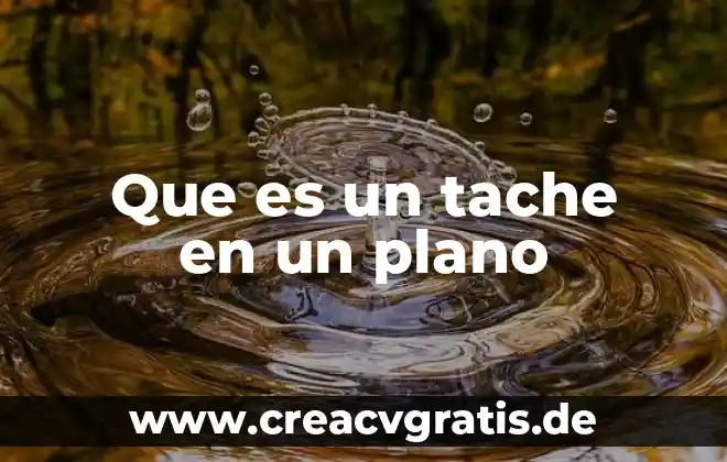 Que es plano transversal significado 3 Que es un tache en un plano