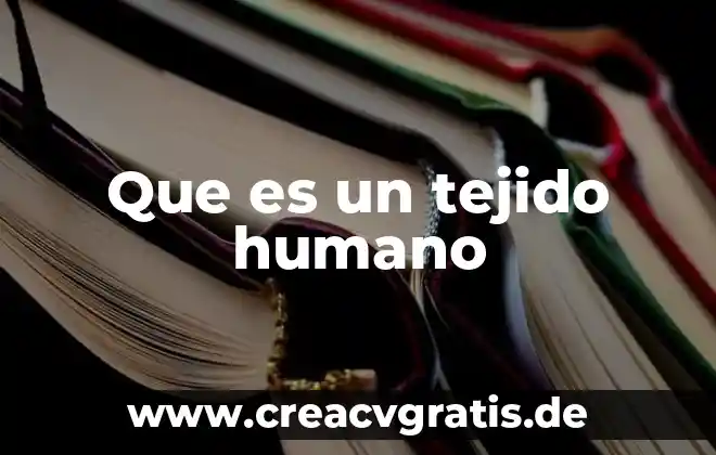 Qué es el tejido óseo y sus tipos 8 Que es un tejido humano