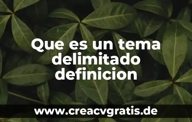 Que es el icon definicion 5 Que es un tema delimitado definicion